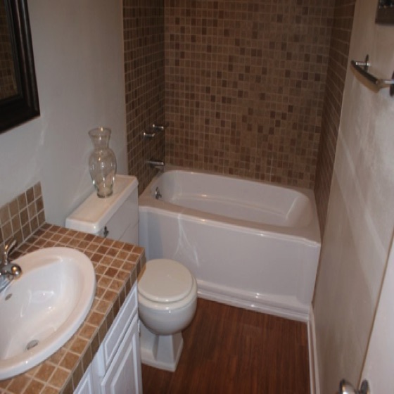 1300 2BR1BAUS Bath1a.jpg